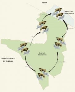serengeti migration map