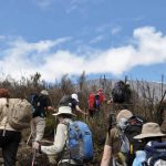 6 Day Lemosho Route Kilimanjaro Climbing