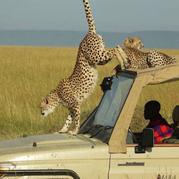 masai mara national park